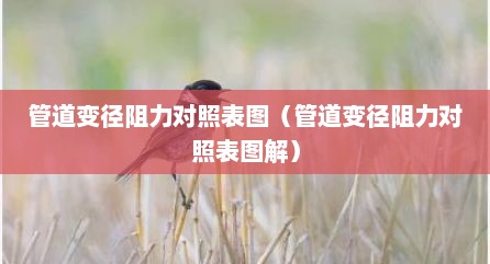 管道变径阻力对照表图（管道变径阻力对照表图解）