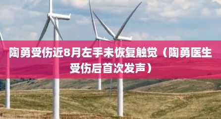 陶勇受伤近8月左手未恢复触觉（陶勇医生受伤后首次发声）