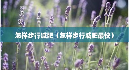 怎样步行减肥（怎样步行减肥最快）