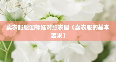 卖衣服腰围标准对照表图（卖衣服的基本要求）