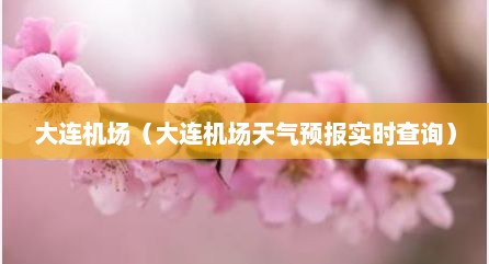 大连机场（大连机场天气预报实时查询）