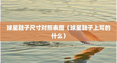 球星鞋子尺寸对照表图（球星鞋子上写的什么）