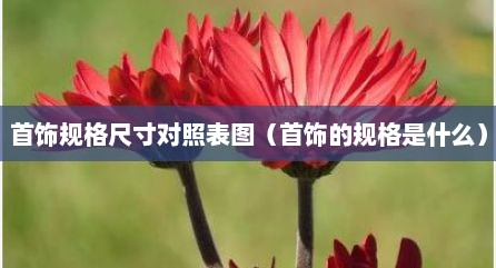 首饰规格尺寸对照表图（首饰的规格是什么）