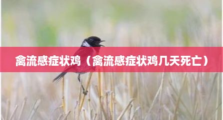 禽流感症状鸡（禽流感症状鸡几天死亡）