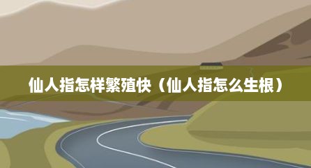 仙人指怎样繁殖快（仙人指怎么生根）