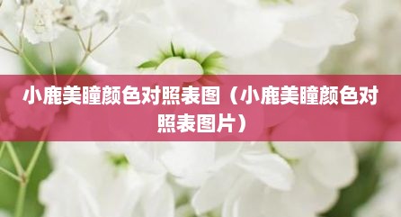 小鹿美瞳颜色对照表图（小鹿美瞳颜色对照表图片）