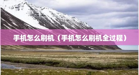 手机怎么刷机（手机怎么刷机全过程）