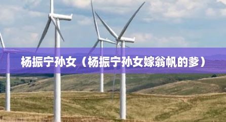 杨振宁孙女（杨振宁孙女嫁翁帆的爹）