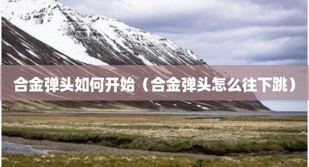 合金弹头如何开始（合金弹头怎么往下跳）