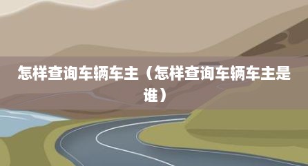 怎样查询车辆车主（怎样查询车辆车主是谁）