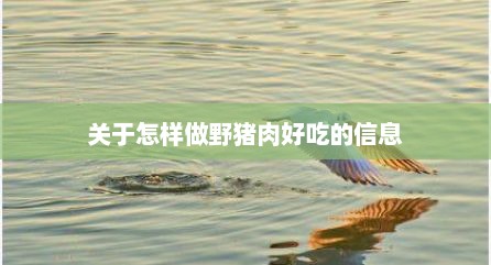 关于怎样做野猪肉好吃的信息