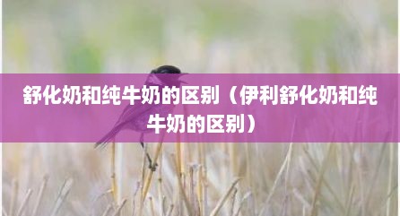 舒化奶和纯牛奶的区别（伊利舒化奶和纯牛奶的区别）