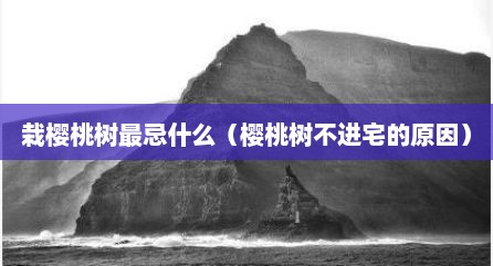 栽樱桃树最忌什么（樱桃树不进宅的原因）