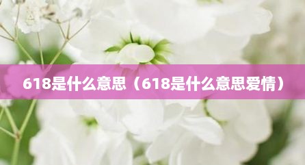618是什么意思（618是什么意思爱情）