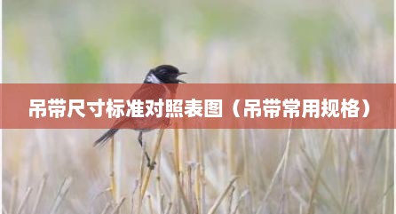 吊带尺寸标准对照表图（吊带常用规格）