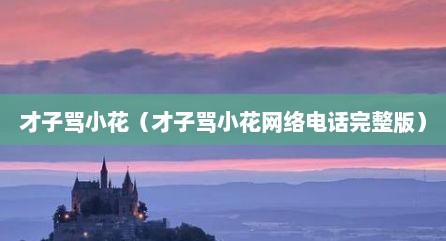 才子骂小花（才子骂小花网络电话完整版）