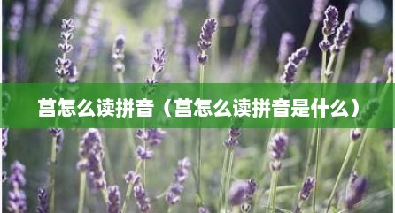 莒怎么读拼音（莒怎么读拼音是什么）