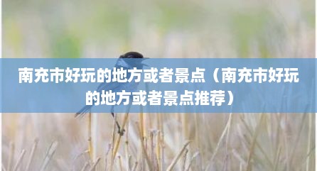 南充市好玩的地方或者景点（南充市好玩的地方或者景点推荐）