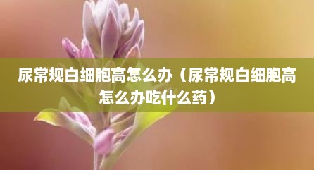 尿常规白细胞高怎么办（尿常规白细胞高怎么办吃什么药）