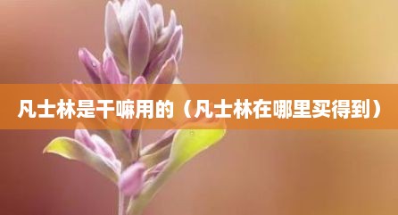 凡士林是干嘛用的（凡士林在哪里买得到）