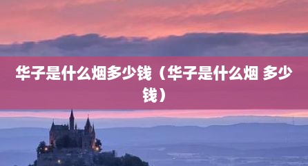 华子是什么烟多少钱（华子是什么烟 多少钱）