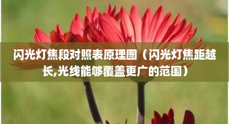 闪光灯焦段对照表原理图（闪光灯焦距越长,光线能够覆盖更广的范围）
