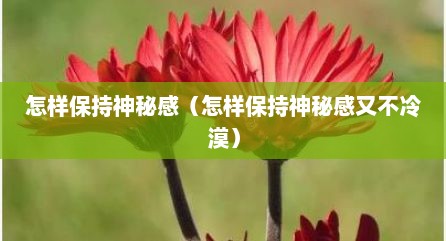 怎样保持神秘感（怎样保持神秘感又不冷漠）