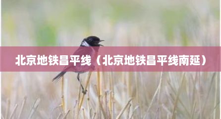 北京地铁昌平线（北京地铁昌平线南延）