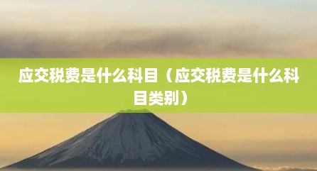 应交税费是什么科目（应交税费是什么科目类别）