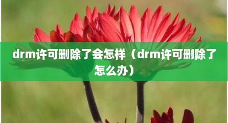 drm许可删除了会怎样（drm许可删除了怎么办）