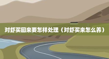 对虾买回来要怎样处理（对虾买来怎么养）