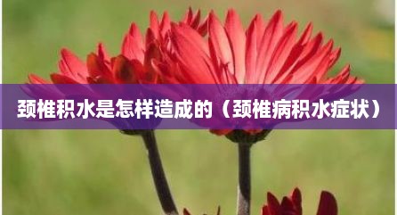 颈椎积水是怎样造成的（颈椎病积水症状）