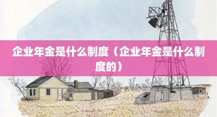 企业年金是什么制度（企业年金是什么制度的）