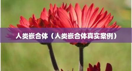 人类嵌合体（人类嵌合体真实案例）