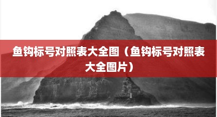 鱼钩标号对照表大全图（鱼钩标号对照表大全图片）