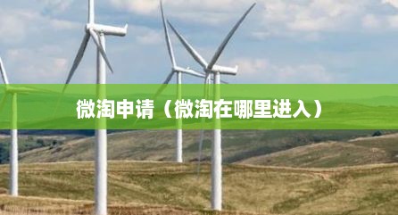 微淘申请（微淘在哪里进入）