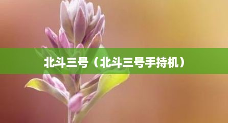 北斗三号（北斗三号手持机）