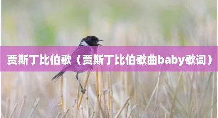贾斯丁比伯歌（贾斯丁比伯歌曲baby歌词）