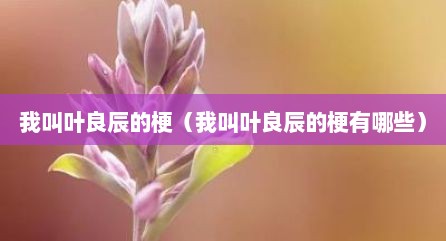 我叫叶良辰的梗（我叫叶良辰的梗有哪些）