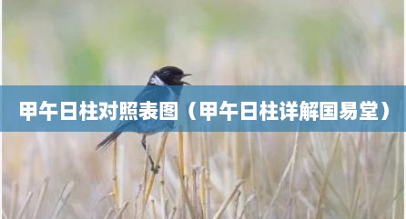 甲午日柱对照表图（甲午日柱详解国易堂）