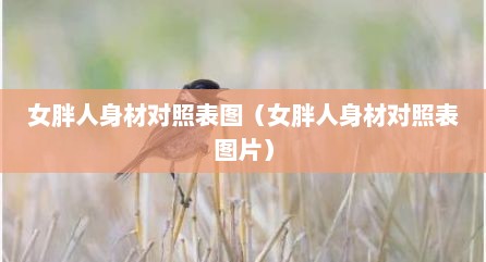 女胖人身材对照表图（女胖人身材对照表图片）