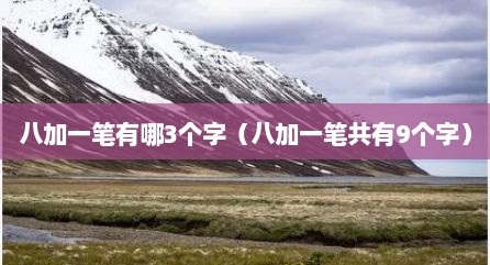 八加一笔有哪3个字（八加一笔共有9个字）