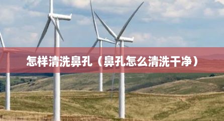 怎样清洗鼻孔（鼻孔怎么清洗干净）
