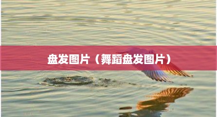 盘发图片（舞蹈盘发图片）