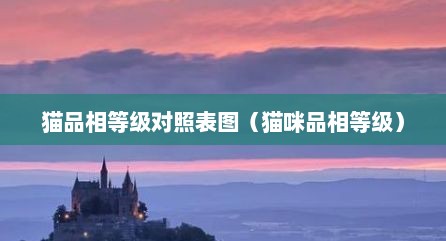 猫品相等级对照表图（猫咪品相等级）