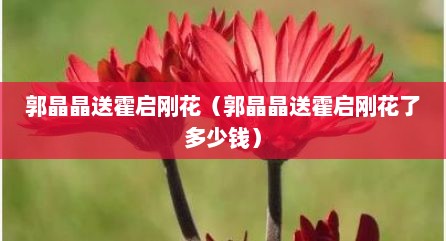郭晶晶送霍启刚花（郭晶晶送霍启刚花了多少钱）