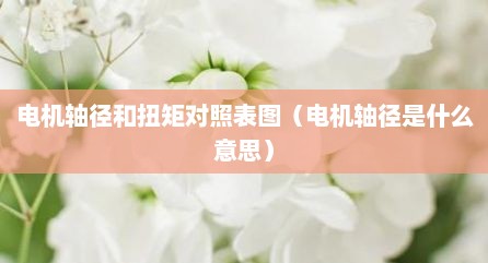 电机轴径和扭矩对照表图（电机轴径是什么意思）