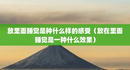 放里面睡觉是种什么样的感受（放在里面睡觉是一种什么效果）
