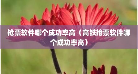 抢票软件哪个成功率高（高铁抢票软件哪个成功率高）