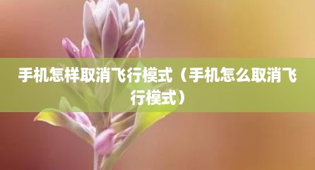 手机怎样取消飞行模式（手机怎么取消飞行模式）